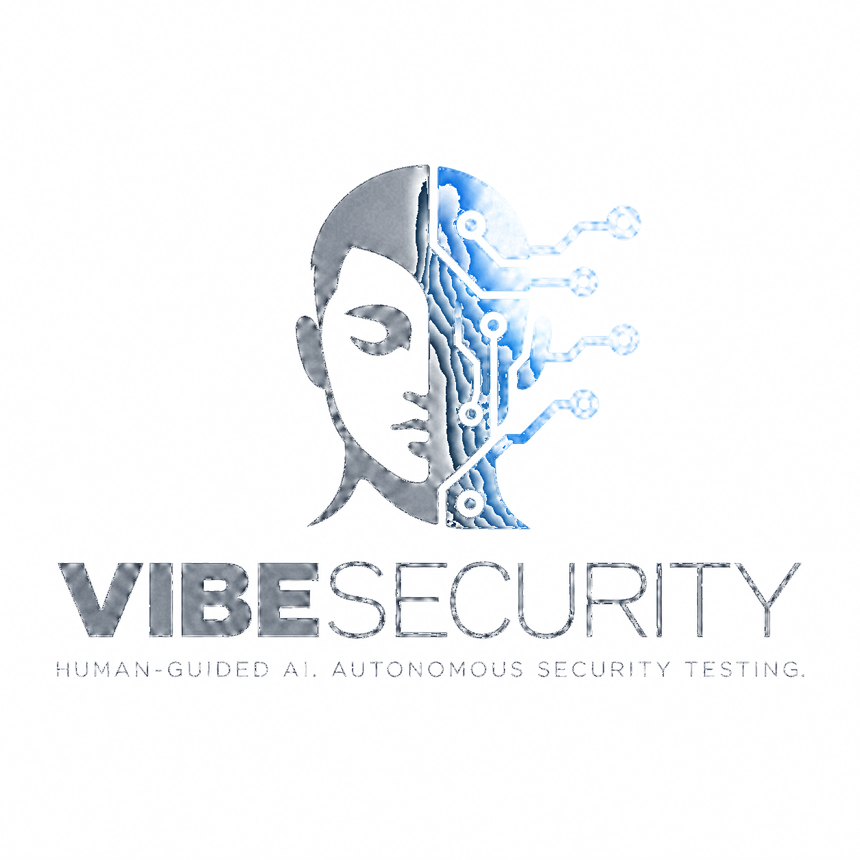 VibeSecurity